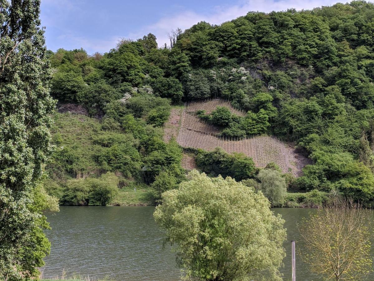 Ferienwohnung "Zum Klosterruinenblick" Kröv Exterior foto